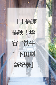 十倍速插秧！华容“铁牛”下田刷新纪录
