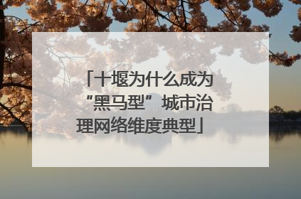 十堰为什么成为“黑马型”城市治理网络维度典型