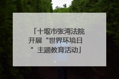 十堰市张湾法院开展“世界环境日”主题教育活动