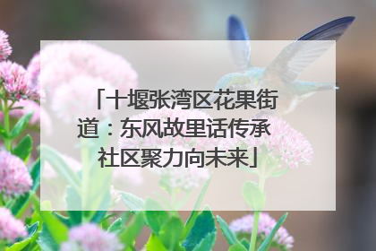 十堰张湾区花果街道：东风故里话传承 社区聚力向未来