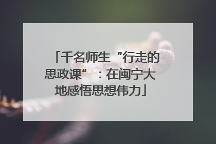千名师生“行走的思政课”：在闽宁大地感悟思想伟力