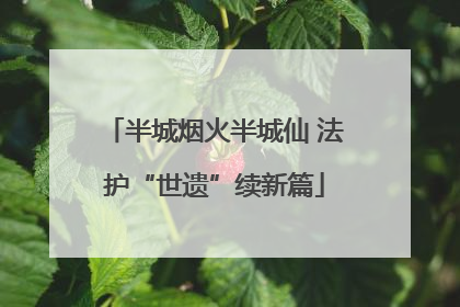 半城烟火半城仙 法护“世遗”续新篇