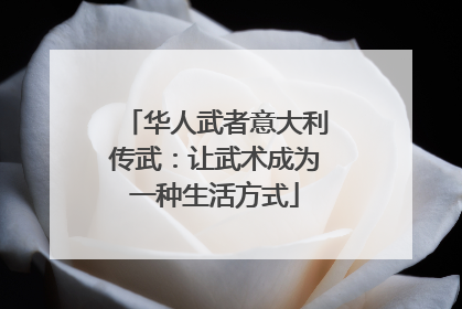 华人武者意大利传武：让武术成为一种生活方式
