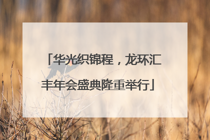 华光织锦程，龙环汇丰年会盛典隆重举行