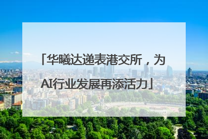 华曦达递表港交所，为AI行业发展再添活力