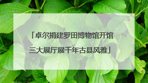 卓尔捐建罗田博物馆开馆 三大展厅展千年古县风雅