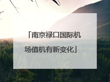南京禄口国际机场值机有新变化
