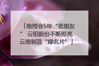 南博会5年“老朋友” 云铝股份不断擦亮云南制造“绿名片”