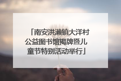 南安洪濑镇大洋村公益图书馆揭牌暨儿童节特别活动举行