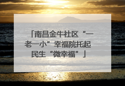 南昌金牛社区“一老一小”幸福院托起民生“微幸福”