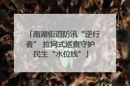 南湖街道防汛“逆行者” 拉网式巡查守护民生“水位线”