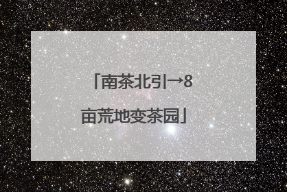 南茶北引→8亩荒地变茶园