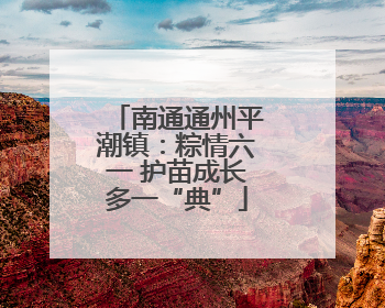 南通通州平潮镇：粽情六一 护苗成长多一“典”