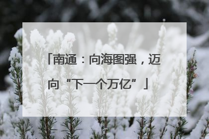南通：向海图强，迈向“下一个万亿”