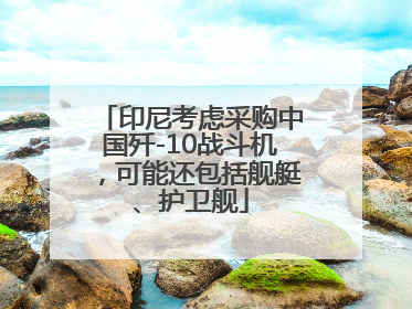 印尼考虑采购中国歼-10战斗机，可能还包括舰艇、护卫舰