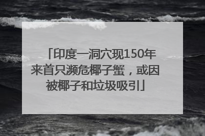 印度一洞穴现150年来首只濒危椰子蟹，或因被椰子和垃圾吸引