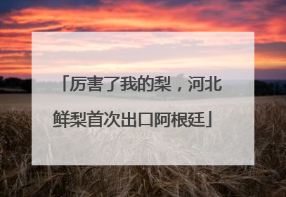 厉害了我的梨，河北鲜梨首次出口阿根廷