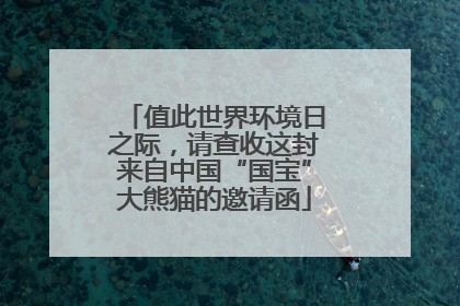 值此世界环境日之际，请查收这封来自中国“国宝”大熊猫的邀请函