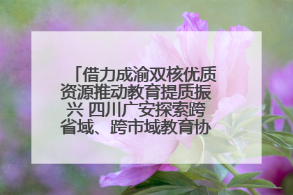借力成渝双核优质资源推动教育提质振兴 四川广安探索跨省域、跨市域教育协同发展新路径