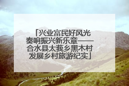 兴业富民好风光 奏响振兴新乐章——合水县太莪乡黑木村发展乡村旅游纪实