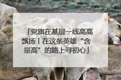 党旗在基层一线高高飘扬丨在这条英雄“含量高”的路上寻初心