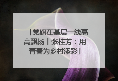党旗在基层一线高高飘扬丨张桂芳：用青春为乡村添彩