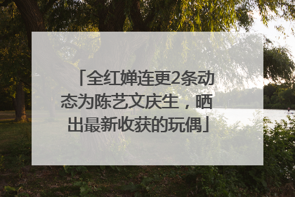 全红婵连更2条动态为陈艺文庆生，晒出最新收获的玩偶