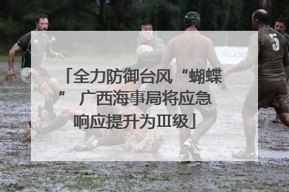 全力防御台风“蝴蝶” 广西海事局将应急响应提升为Ⅲ级