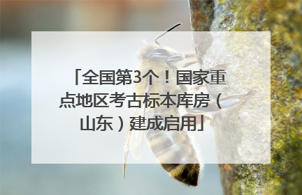 全国第3个！国家重点地区考古标本库房（山东）建成启用