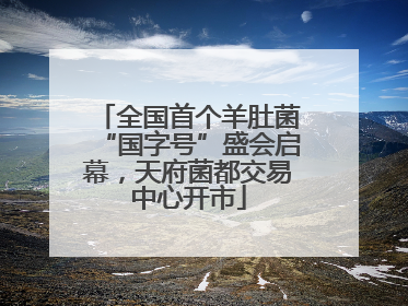 全国首个羊肚菌“国字号”盛会启幕，天府菌都交易中心开市