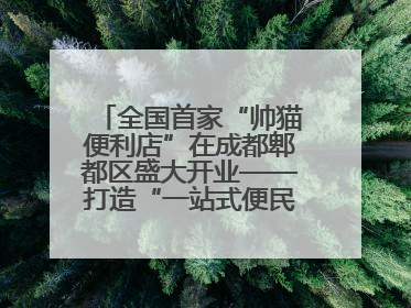 全国首家“帅猫便利店”在成都郫都区盛大开业——打造“一站式便民服务”新标杆