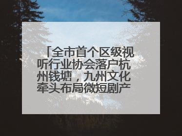全市首个区级视听行业协会落户杭州钱塘，九州文化牵头布局微短剧产业高地
