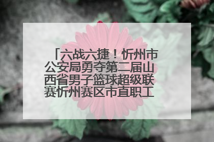 六战六捷！忻州市公安局勇夺第二届山西省男子篮球超级联赛忻州赛区市直职工组比赛冠军