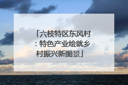 六枝特区东风村：特色产业绘就乡村振兴新图景