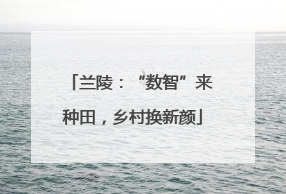 兰陵：“数智”来种田，乡村换新颜