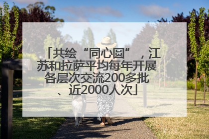 共绘“同心圆”，江苏和拉萨平均每年开展各层次交流200多批、近2000人次