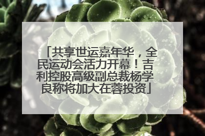 共享世运嘉年华，全民运动会活力开幕！吉利控股高级副总裁杨学良称将加大在蓉投资