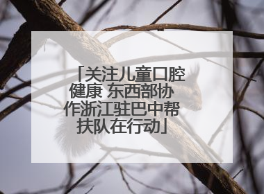 关注儿童口腔健康 东西部协作浙江驻巴中帮扶队在行动