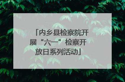 内乡县检察院开展“六一”检察开放日系列活动