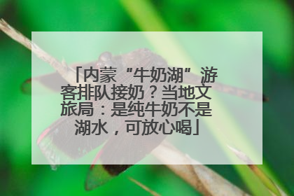 内蒙“牛奶湖”游客排队接奶？当地文旅局：是纯牛奶不是湖水，可放心喝