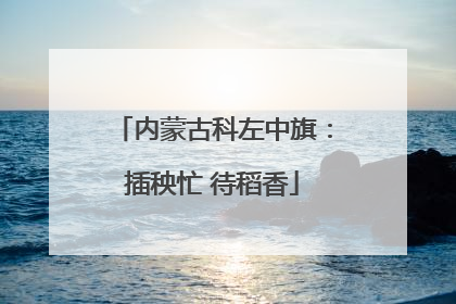 内蒙古科左中旗：插秧忙 待稻香