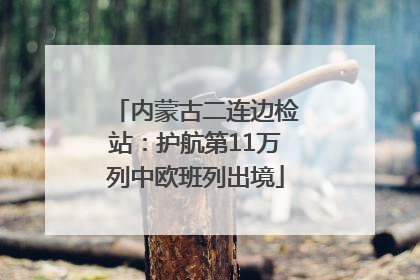 内蒙古二连边检站：护航第11万列中欧班列出境