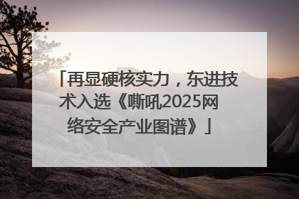 再显硬核实力，东进技术入选《嘶吼2025网络安全产业图谱》