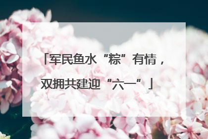 军民鱼水“粽”有情，双拥共建迎“六一”