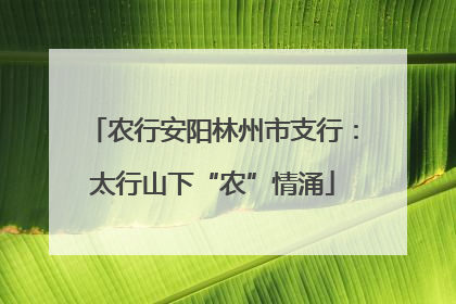 农行安阳林州市支行：太行山下“农”情涌