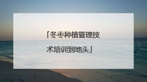 冬枣种植管理技术培训到地头