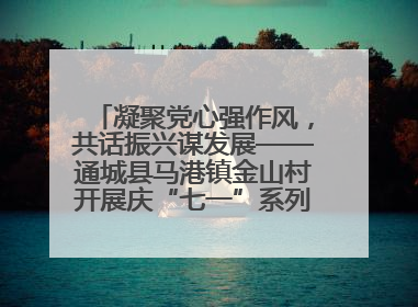 凝聚党心强作风，共话振兴谋发展——通城县马港镇金山村开展庆“七一”系列庆祝活动