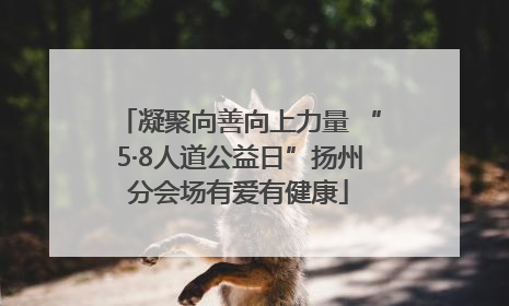 凝聚向善向上力量 “5·8人道公益日”扬州分会场有爱有健康
