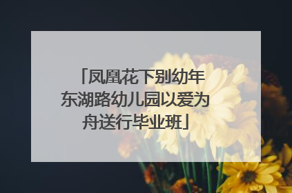 凤凰花下别幼年 东湖路幼儿园以爱为舟送行毕业班