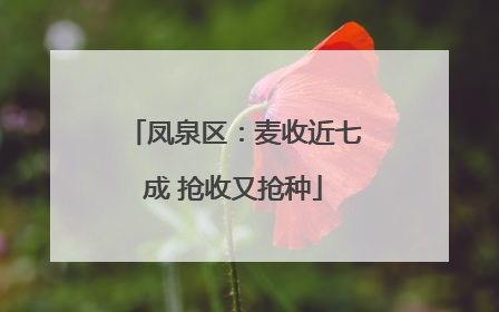 凤泉区：麦收近七成 抢收又抢种